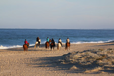 Portugal-Alentejo / Blue Coast-Bottlenose Escape